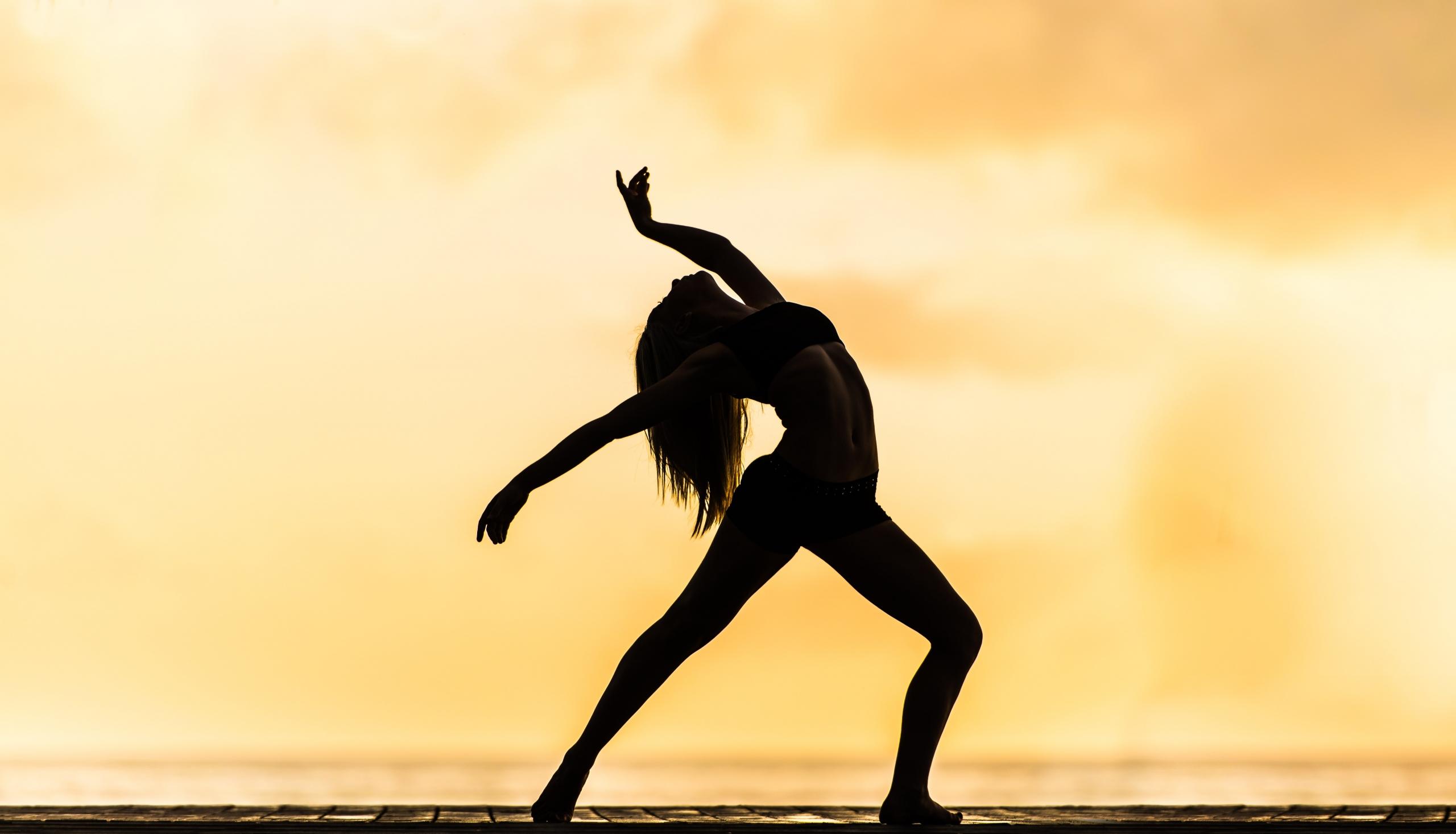 La carrera profesional y los títulos del bailarín